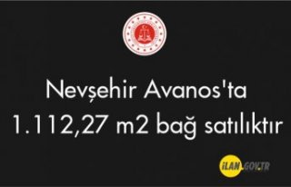 Nevşehir Avanos'ta 1.112,27 m² bağ satılıktır