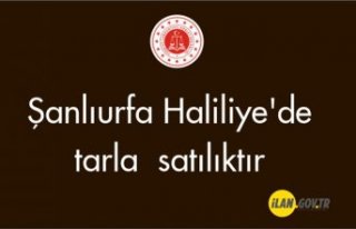 Şanlıurfa Haliliye'de tarla satılıktır