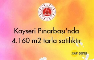 Kayseri Pınarbaşı'nda 4.160 m² tarla mahkemeden...