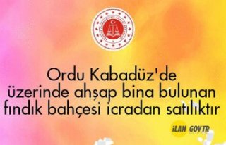 Ordu Kabadüz'de üzerinde ahşap bina bulunan...