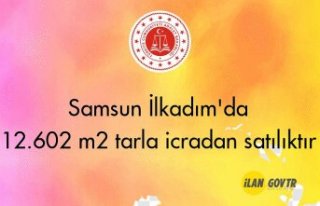 Samsun İlkadım'da 12.602 m2 tarla icradan satılıktır