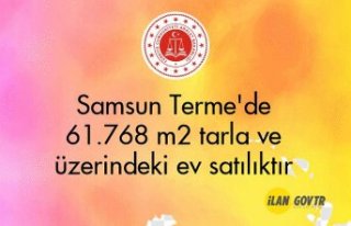 Samsun Terme'de 61.768 m² tarla ve üzerindeki...