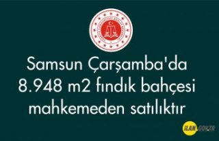 Samsun Çarşamba'da 8.948 m² fındık bahçesi...