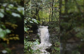 Artvin Valisi Doruk Delikli Kaya Şelalesi'nde incelemelerde...