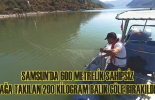 Samsun’da 600 metrelik sahipsiz ağa takılan 200...