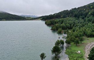 Dikmetaş Yaylası'nda ilkbahar güzelliği