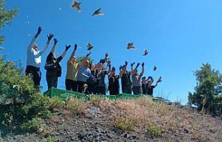 Amasya'da 600 kınalı keklik doğaya bırakıldı