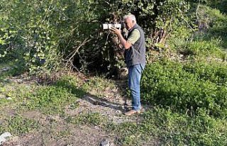 Fotoğrafladığı kuş türlerini kitapta bir araya...