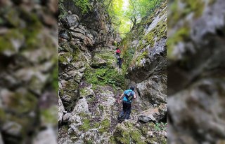 Kastamonu'da kaybolan kişinin bulunması için çalışma...