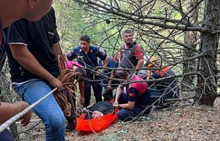 Amasya'da dere yatağına düşen kişiyi AFAD...