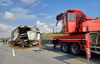 Anadolu Otoyolu'nda büyükbaş hayvan yüklü...