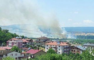 Bolu'da sazlık alanda çıkan yangın söndürüldü