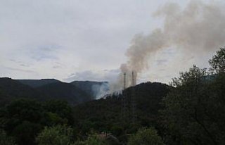 Karabük'te ormanlık alanda çıkan yangına...