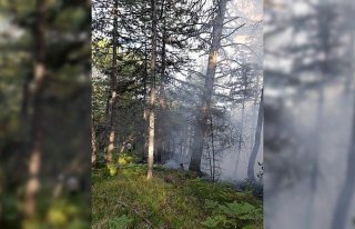 Mudurnu'da ormanlık alanda çıkan yangın söndürüldü