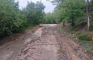 Mudurnu'da sağanak hayatı olumsuz etkiledi