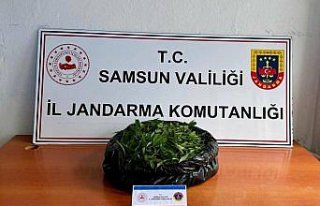 Samsun'da ikametinde uyuşturucu bulunduran kişi...