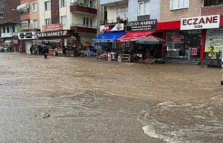 Samsun'da sağanak nedeniyle tarım arazileri...