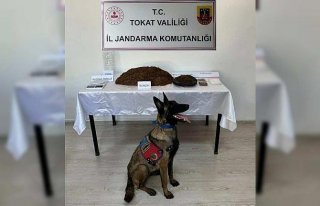 Tokat'ta uyuşturucu madde satışı yapan 5...