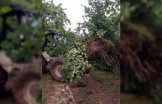 Trabzon'da sağanaktan etkilenen ilçelerde çalışmalar...