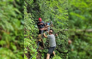 Trabzon'da uçuruma düşen yaşlı kadın kurtarıldı