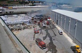 Zonguldak'ta kağıt fabrikasının atık alanında...