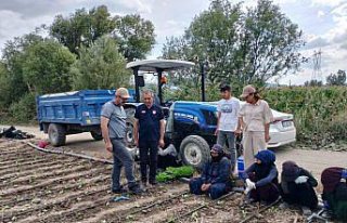 Bitkisel Üretim Genel Müdür Yardımcısı Emiralioğlu'ndan...