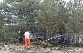 Bolu'da ormanlık alanda çıkan yangın söndürüldü