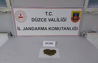 Düzce'de uyuşturucu ve kaçakçılık operasyonları...