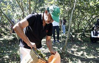 Giresun'da “Fındık Hasat Şenliği“ düzenlendi