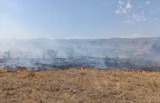 Kastamonu'da anız yangını köye ve ormanlık...