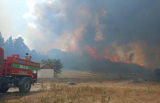 Kızılcahamam'da başlayan yangın Gerede'ye...