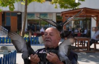 Necmi dedenin köyden şehre güvercin besleme mesaisi