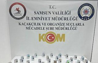 Samsun'da kaçakçılık operasyonunda 2 zanlı...