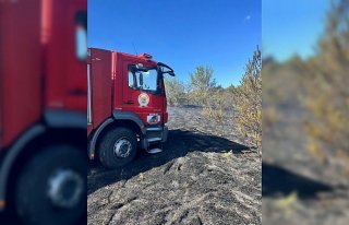 Samsun'da ormanlık alanda çıkan yangın söndürüldü