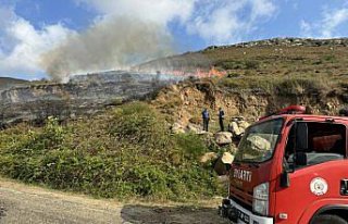 Sinop’ta çıkan örtü yangını söndürüldü