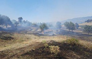 Tokat'ta çıkan örtü yangını söndürüldü