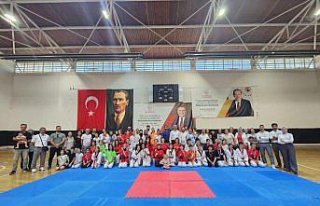 Türkiye Tekvando Şampiyonası'nda 21 sporcu...