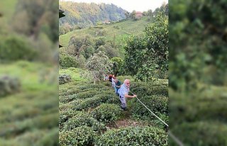 Rize'de teli kopan ilkel teleferikten çay bahçesine...