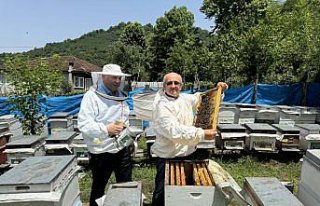 Salıpazarı kestane balını tatmak isteyenler siparişi...