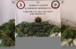 Samsun'da 1,2 kilogram esrarla yakalanan zanlı...