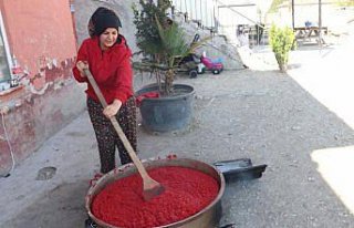 Samsun'da kadınlar mevsiminde domatesi salça...