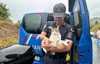 Zonguldak'ta otobüsle kamyonun çarpıştığı...