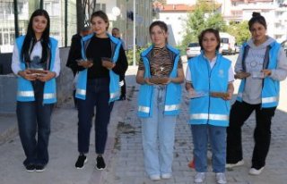 Amasya'da sokakları gezen öğrenciler kedi...