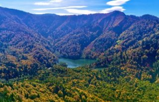 Borçka Karagöl Tabiat Parkı 600 binden fazla turisti...