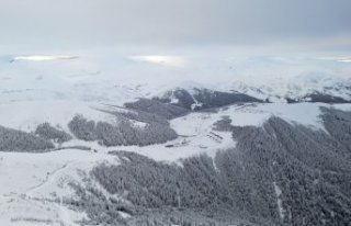 Rize ve Giresun'da kar etkili oldu