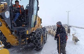 Trabzon'da kar nedeniyle yaylada mahsur kalan...