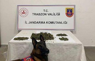 Trabzon'da uyuşturucu operasyonunda 2 şüpheli...