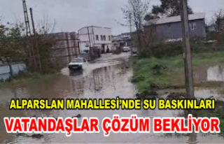 Alparslan Mahallesi’nde Su Baskınları: Vatandaşlar...