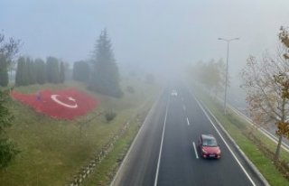 Anadolu Otoyolu'nun Düzce kesiminde sis görüş...