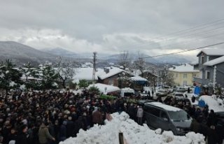 Marmara Adası'ndaki toprak kaymasında göçük...